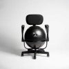 Sitting AEROMAT | Aeromat Deluxe Ball Chair